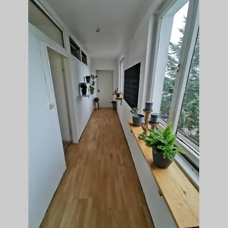 Gemuetliche Wohnung In Wuerselen فورسلن